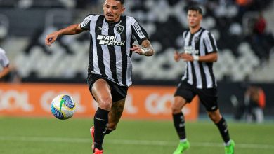 Botafogo vence, mas torcida se preocupa com lesão de Tiquinho Soares