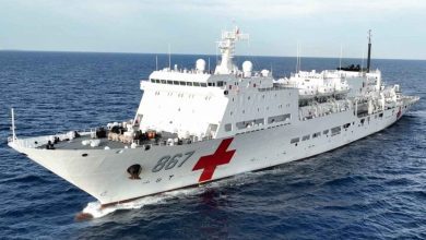 Pier Mauá recebe navio-hospital chinês e dois cruzeiros da MSC nesta quinta (08/01)