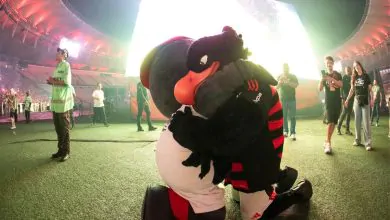 Mascotes do Flamengo